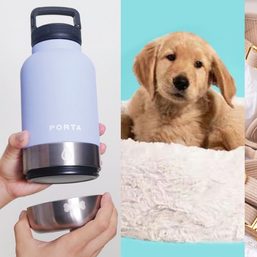 Paw-some gifts to buy for pets, fur parents this Christmas