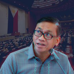 The cringe-worthy questions your congressmen asked PH’s chief scientist