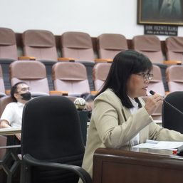 Cebu City council fails to override Rama’s veto of ordinance granting them probe powers