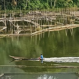 South Cotabato’s Lake Sebu now under state of calamity due to fish kills