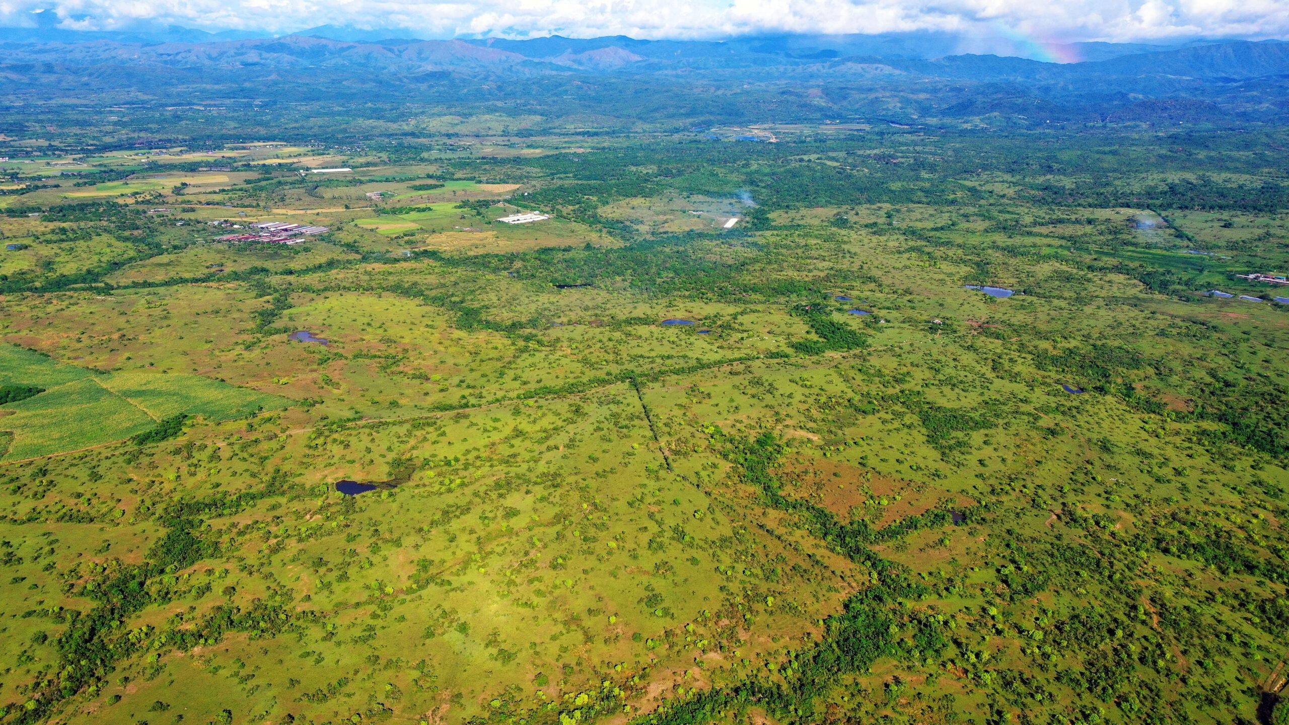 Leandro Leviste readies 3,000-hectare land conversion for solar farm