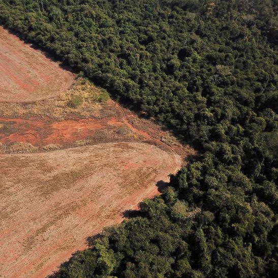 Germany pledges funds to help Brazil defend Amazon rainforest