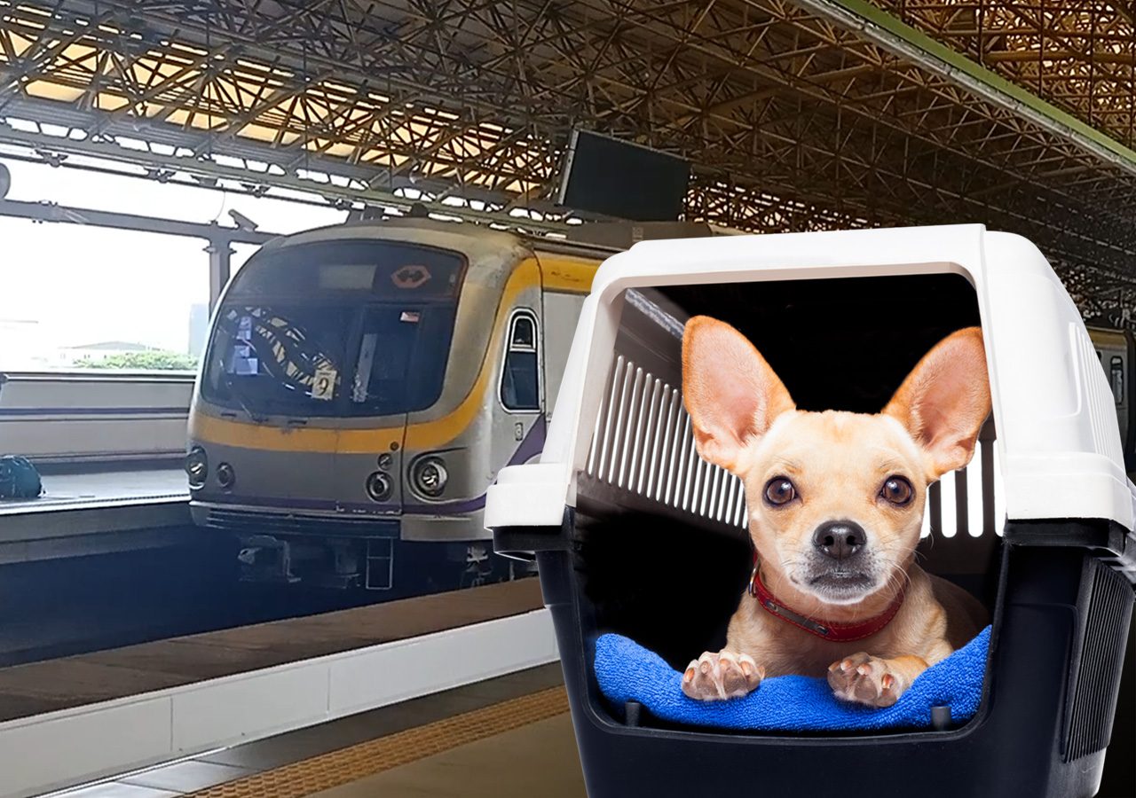 Fur parents, rejoice! Pets allowed on LRT2 by February 1