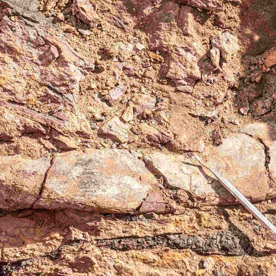 Scientists unearth megaraptors, feathered dinosaur fossils in Chile’s Patagonia