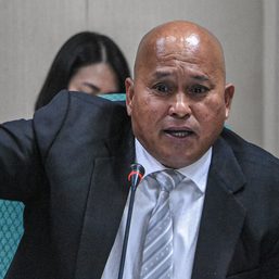 ‘Happy ako,’ Dela Rosa says after meeting with Marcos