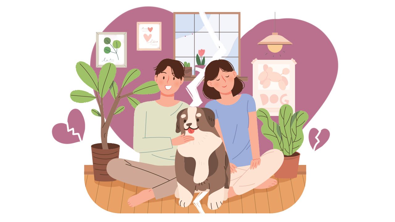 Who gets the pet? How to co-parent a pet after a breakup 