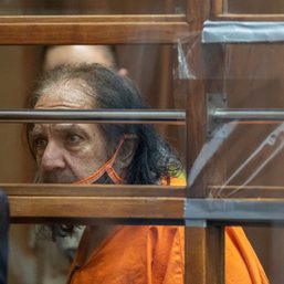 Porn star Ron Jeremy committed to state mental hospital