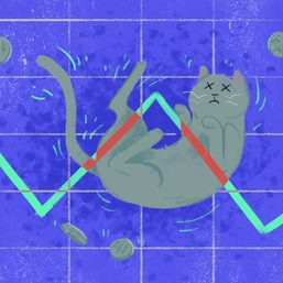 [ANALYSIS] GDP growth and the dead cat bounce