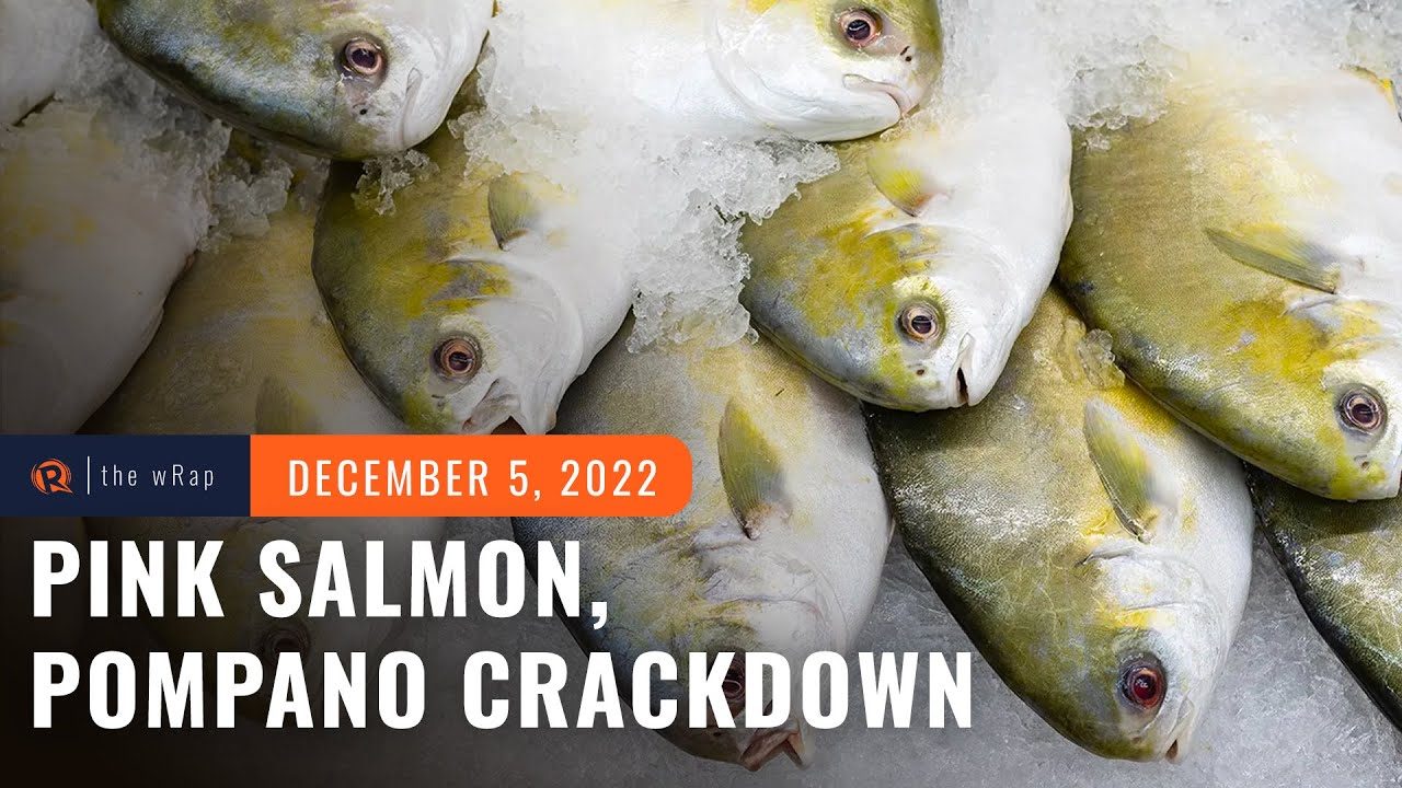 BFAR backpedals on pink salmon, pompano crackdown
