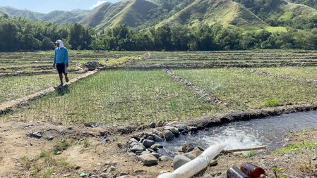 An onion farmer’s dreams and woes: Laban lang, bangon!