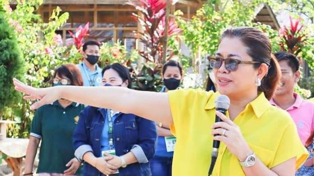 Cotabato bans rubber tree seedlings from Basilan, Zamboanga Peninsula