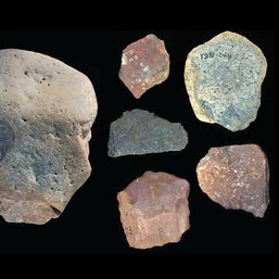 ‘Whodunit’ mystery arises over trove of prehistoric Kenyan stone tools