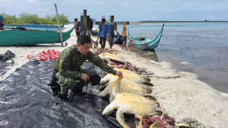 Sulu Sea black market turtle trade sparks outrage in BARMM