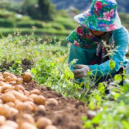 Northern Mindanao’s agriculture sector faces setbacks amid overall economic growth