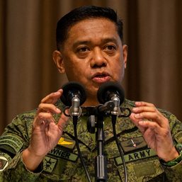 Brawner: Ex-soldiers will be in Army radar after Degamo slay