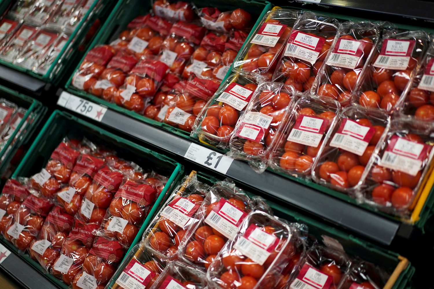Where are the tomatoes? Britain faces shortage as imports hit
