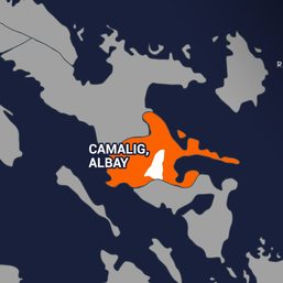 Cessna plane goes missing in Albay