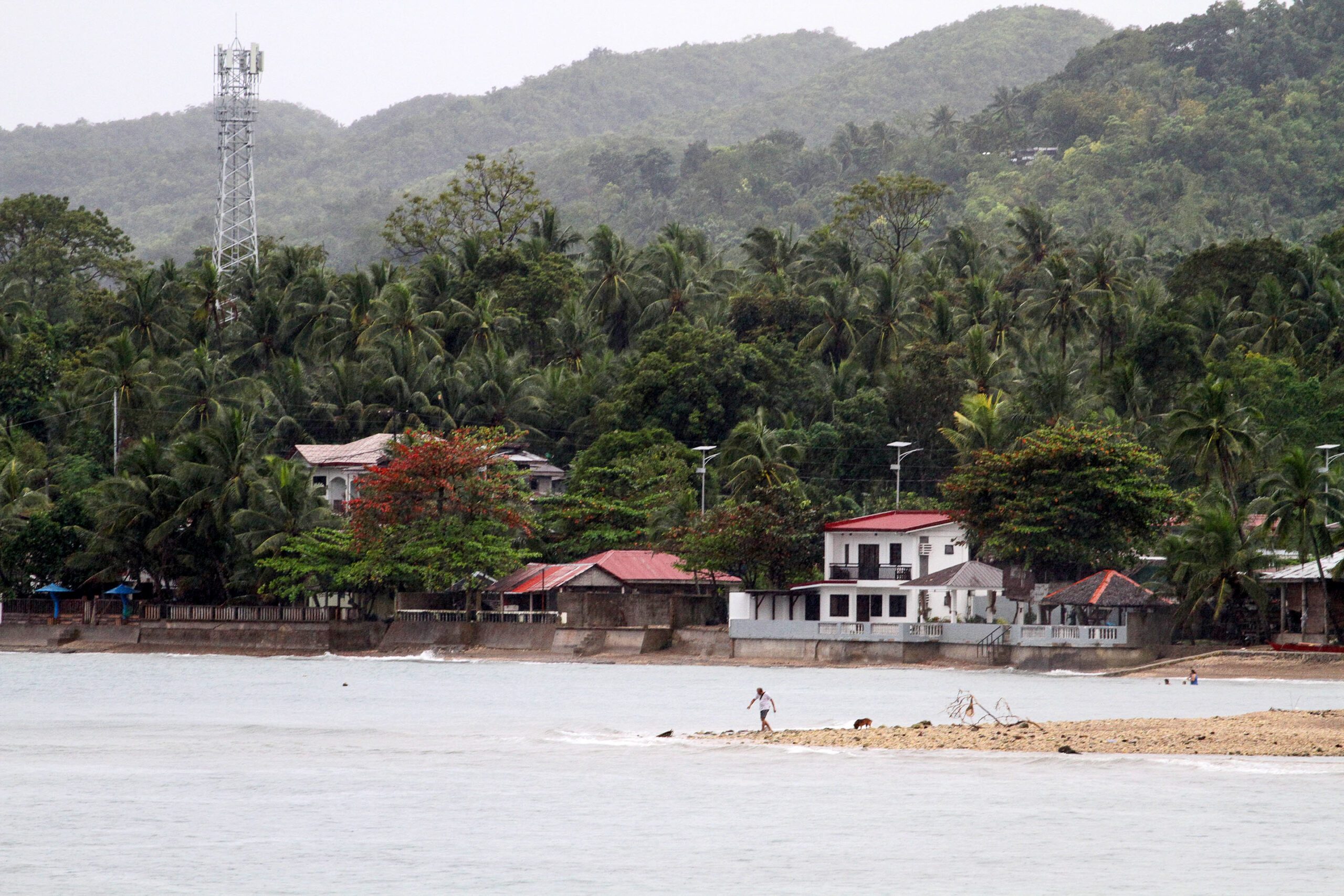 Residents fear proposed reclamation project in Catmon, Cebu