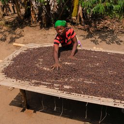 Female-owned farms and companies are growing Ghana’s taste for coffee