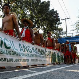 In 9-day march, Dumagat-Remontados carry the burden of saving their homes and the Sierra Madre
