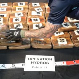 New Zealand recovers $300 million of cocaine floating at sea