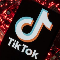 Czech cyber watchdog warns against using TikTok