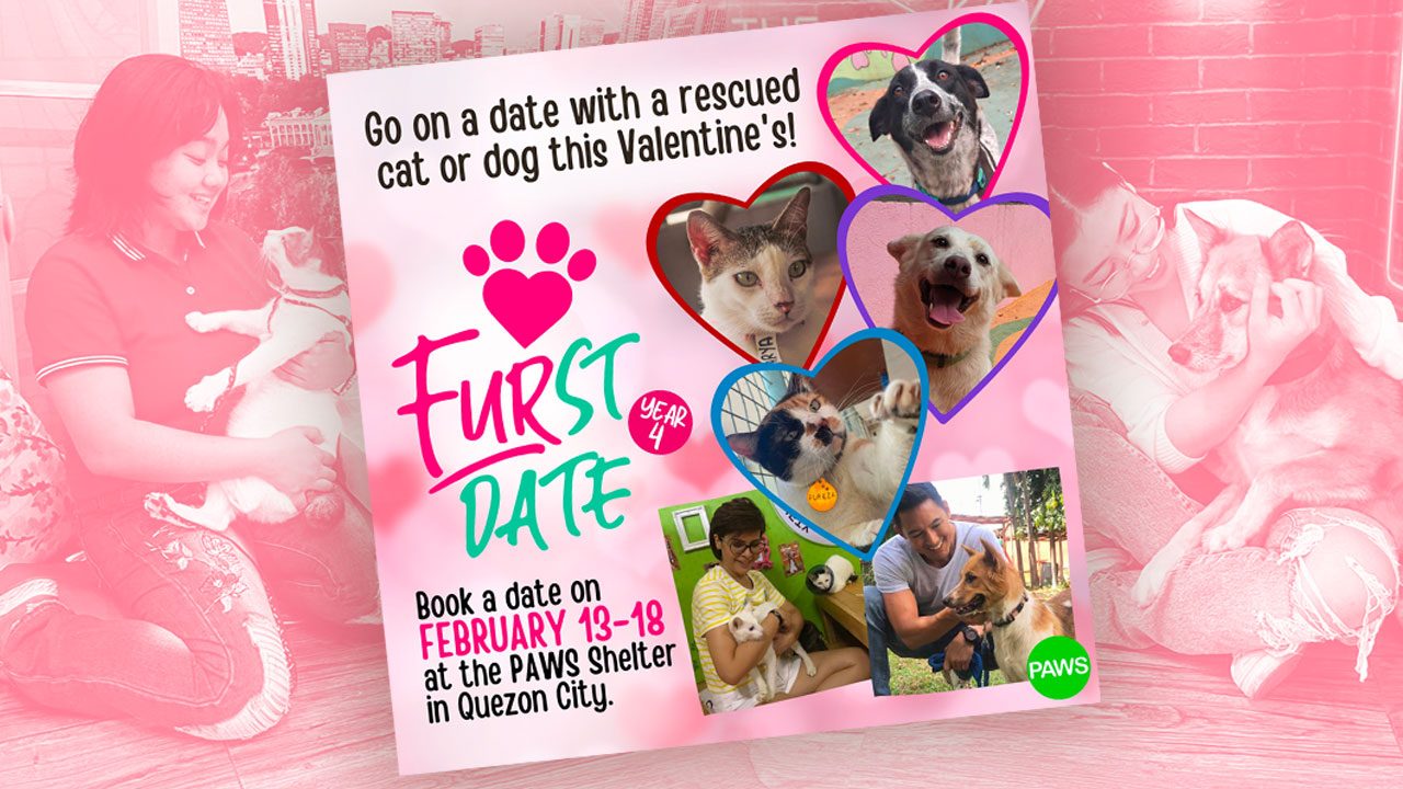 In the Philippines, animal lovers book Valentine’s dates with shelter dogs