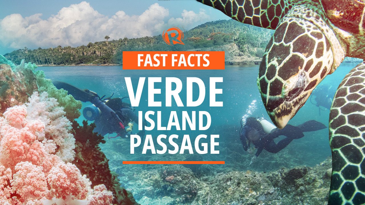 FAST FACTS: Verde Island Passage, the ‘Amazon of the oceans’