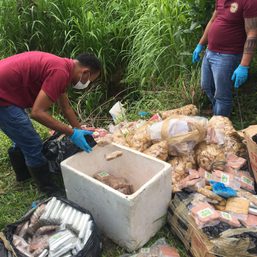 Aklan confiscates illegal meat products from online seller