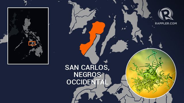 What we know so far: Amoebiasis in San Carlos City, Negros Occidental