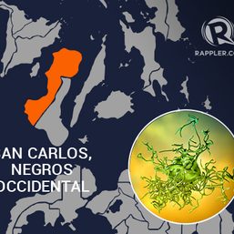 What we know so far: Amoebiasis in San Carlos City, Negros Occidental