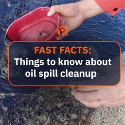 FAST FACTS: Oil spill cleanups