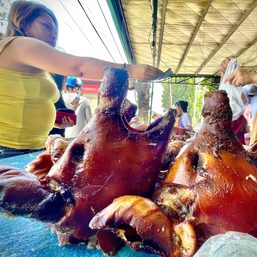 Cebu province to file more graft complaints vs  Bureau of Animal Industry