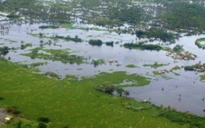 Bangsamoro lawmakers seek creation of regulatory body for Ligawasan Marsh