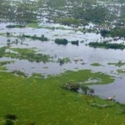 Bangsamoro lawmakers seek creation of regulatory body for Ligawasan Marsh