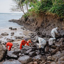Data needed for long-term rehabilitation of areas hit by oil spill – experts