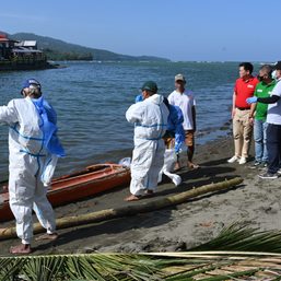 DSWD unveils cash-for-work program for Oriental Mindoro oil spill cleaners