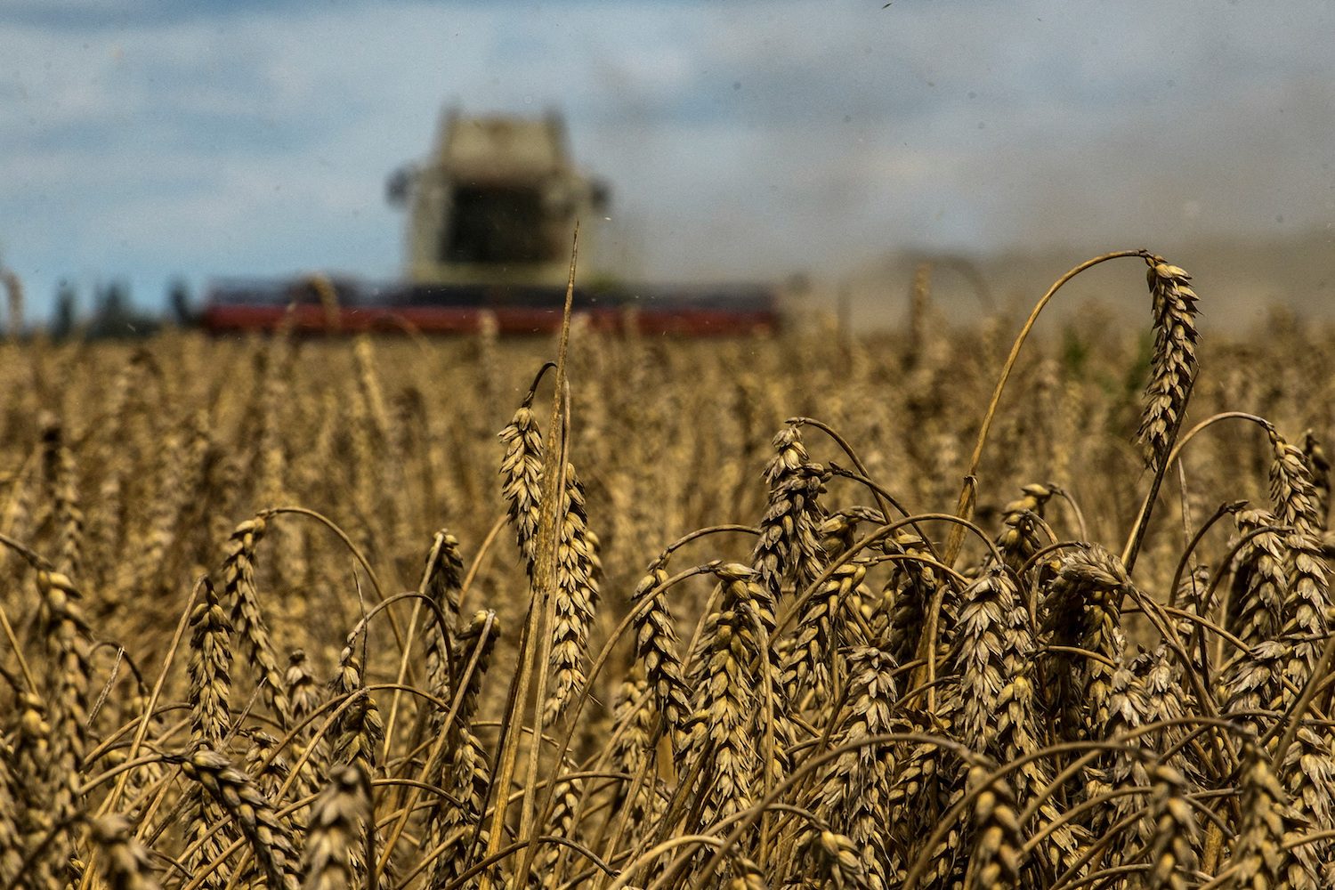 Patchwork fixes to Ukraine grain shortfall leave world vulnerable a year into war