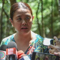 Binay wants right gov’t agency to own Masungi land