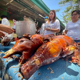 Cebu province passes ordinance against unauthorized  hog culling
