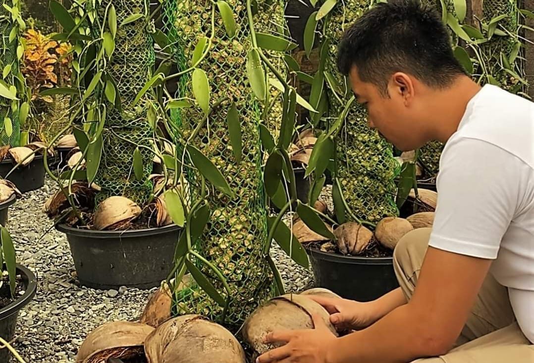 From port to pot: Seafarer ditches job to pursue vanilla farming in Sarangani