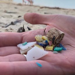 Germans, Dutch, and French call for binding EU microplastic rules