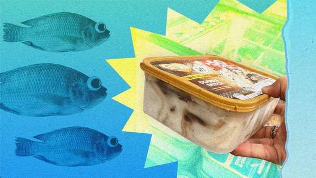 Goodbye, tilapia surprise: Selecta’s transparent ice cream container goes viral