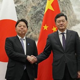 Japan’s foreign minister urges China to release detained national