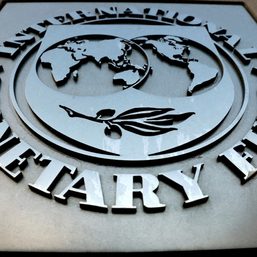 IMF, others should give $100 billion climate FX guarantee – document