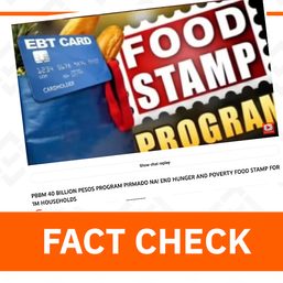 FACT CHECK: No P40 billion funding yet for DSWD’s food stamp program