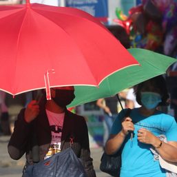 Task force sees Zamboanga del Norte suffering worst effects of El Niño in region