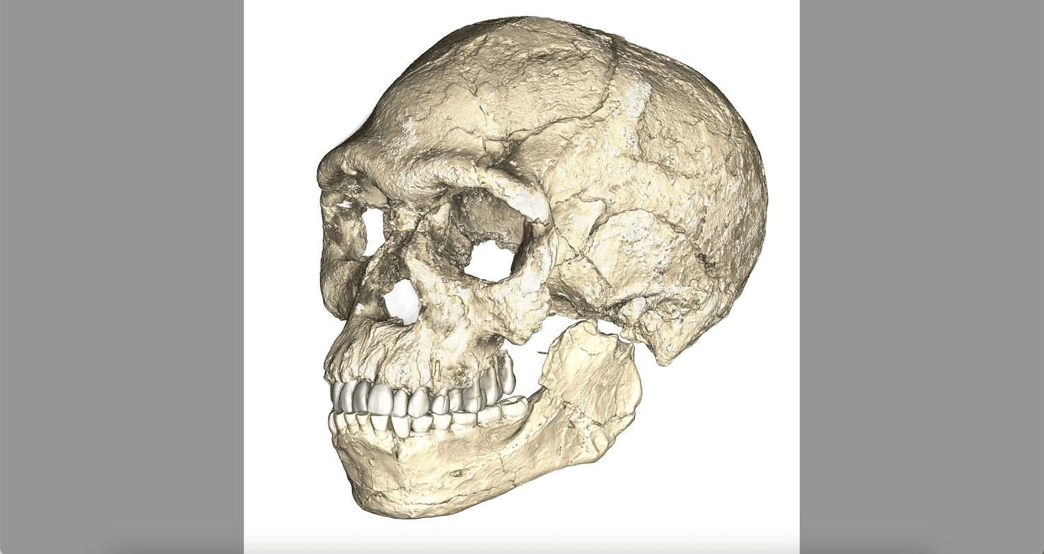 Genome data sheds light on how Homo sapiens arose in Africa