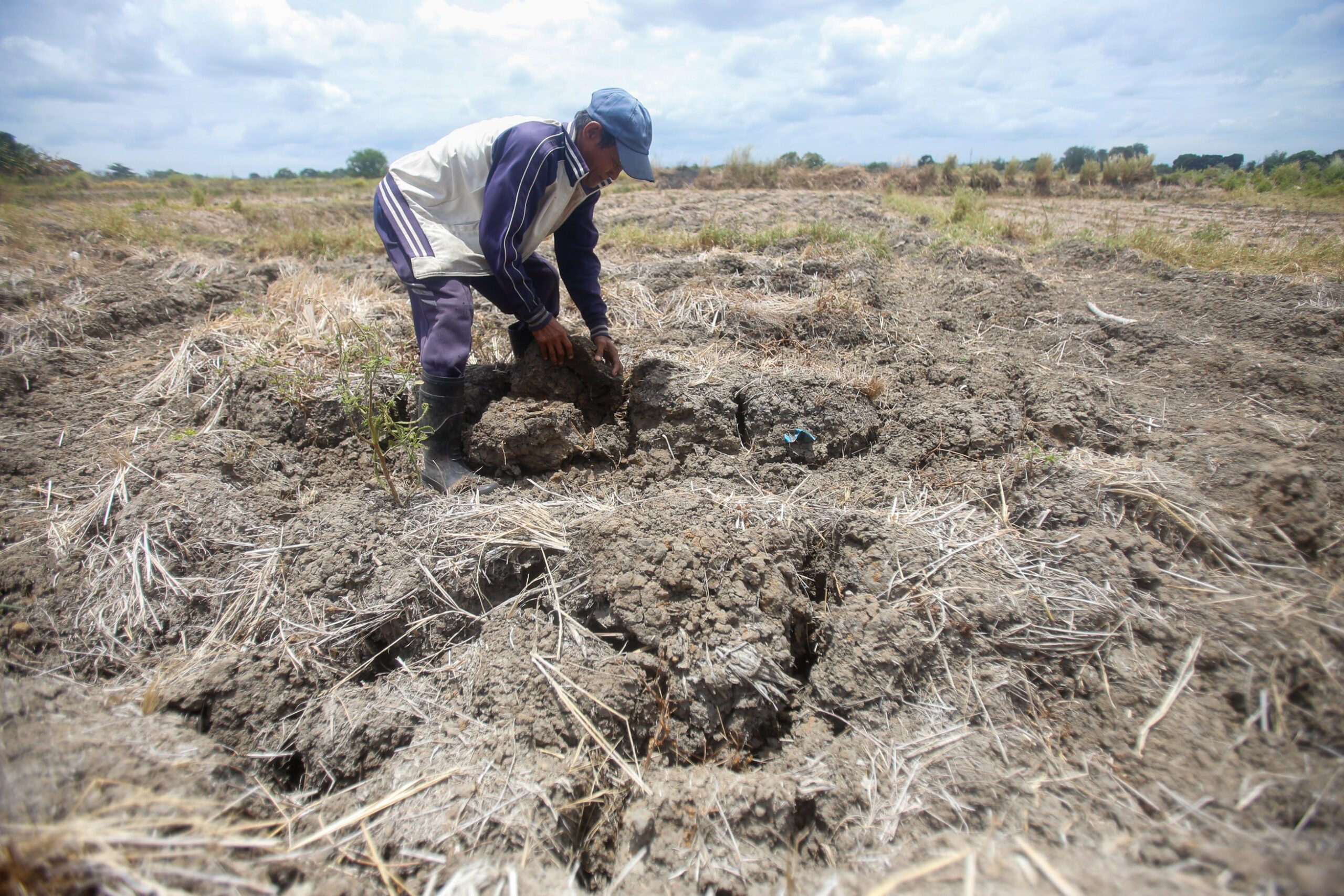 Soccsksargen farm experts worry over government’s El Niño response