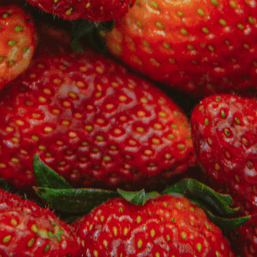 Get 2 kilos of strawberries from Benguet farmers for P999